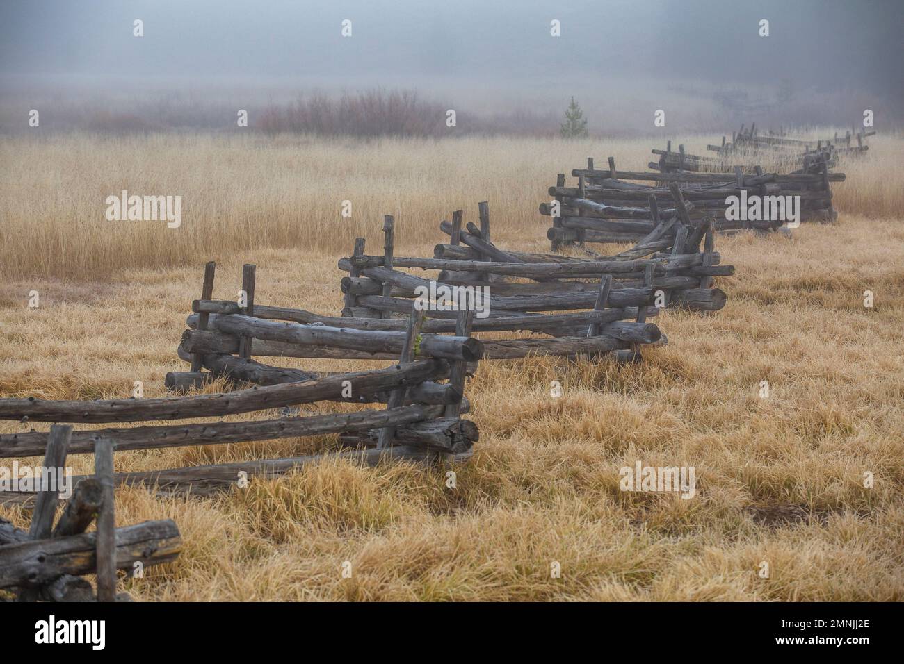 USA, Idaho, Stanley, scena rurale con recinzione ferroviaria Foto Stock