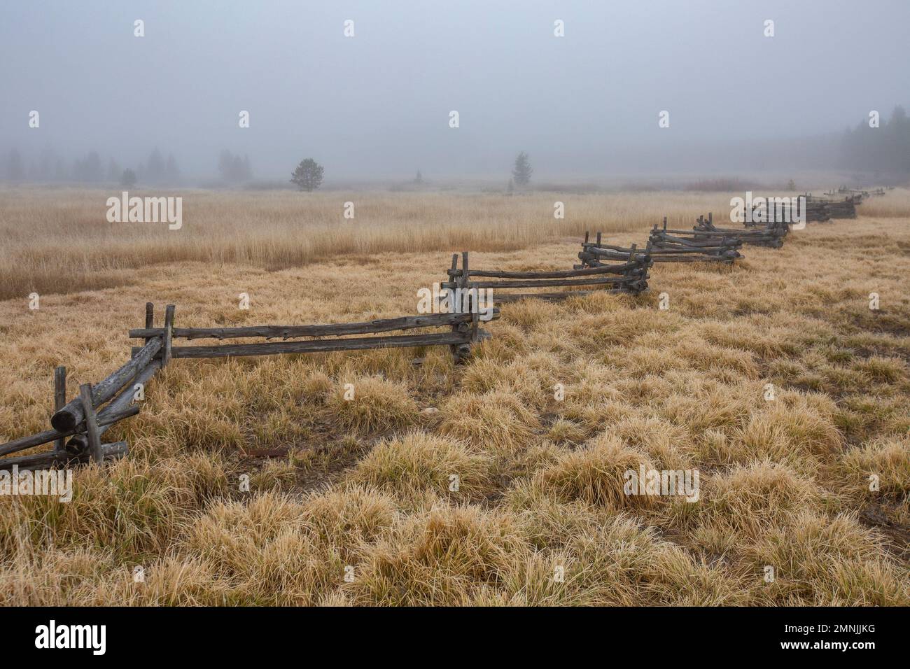 USA, Idaho, Stanley, Rail recinto in paesaggio rurale in autunno Foto Stock