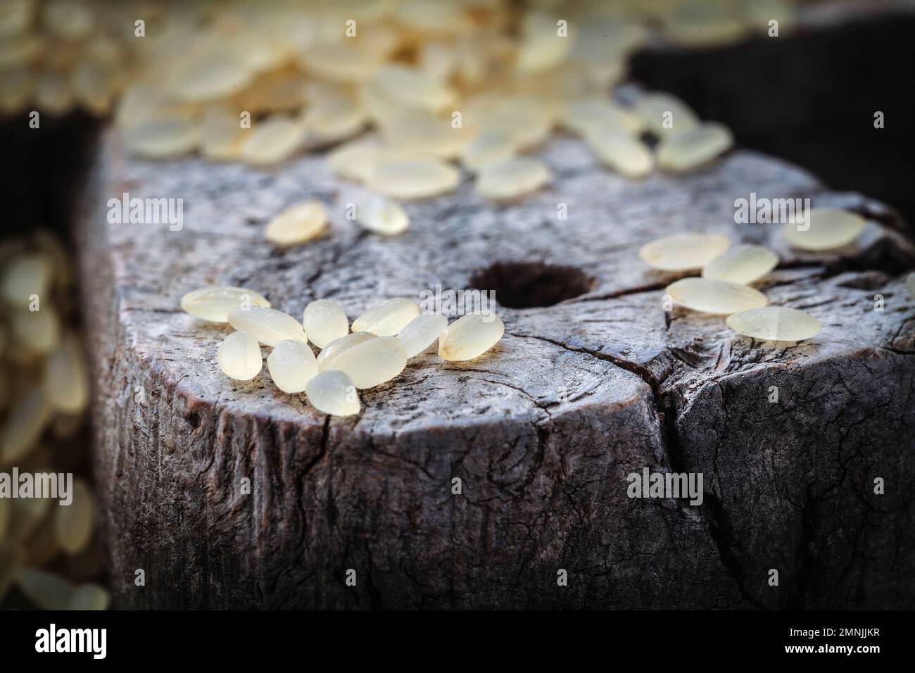 giallo riso marrone, usato per risotto su un tagliere di legno Foto Stock