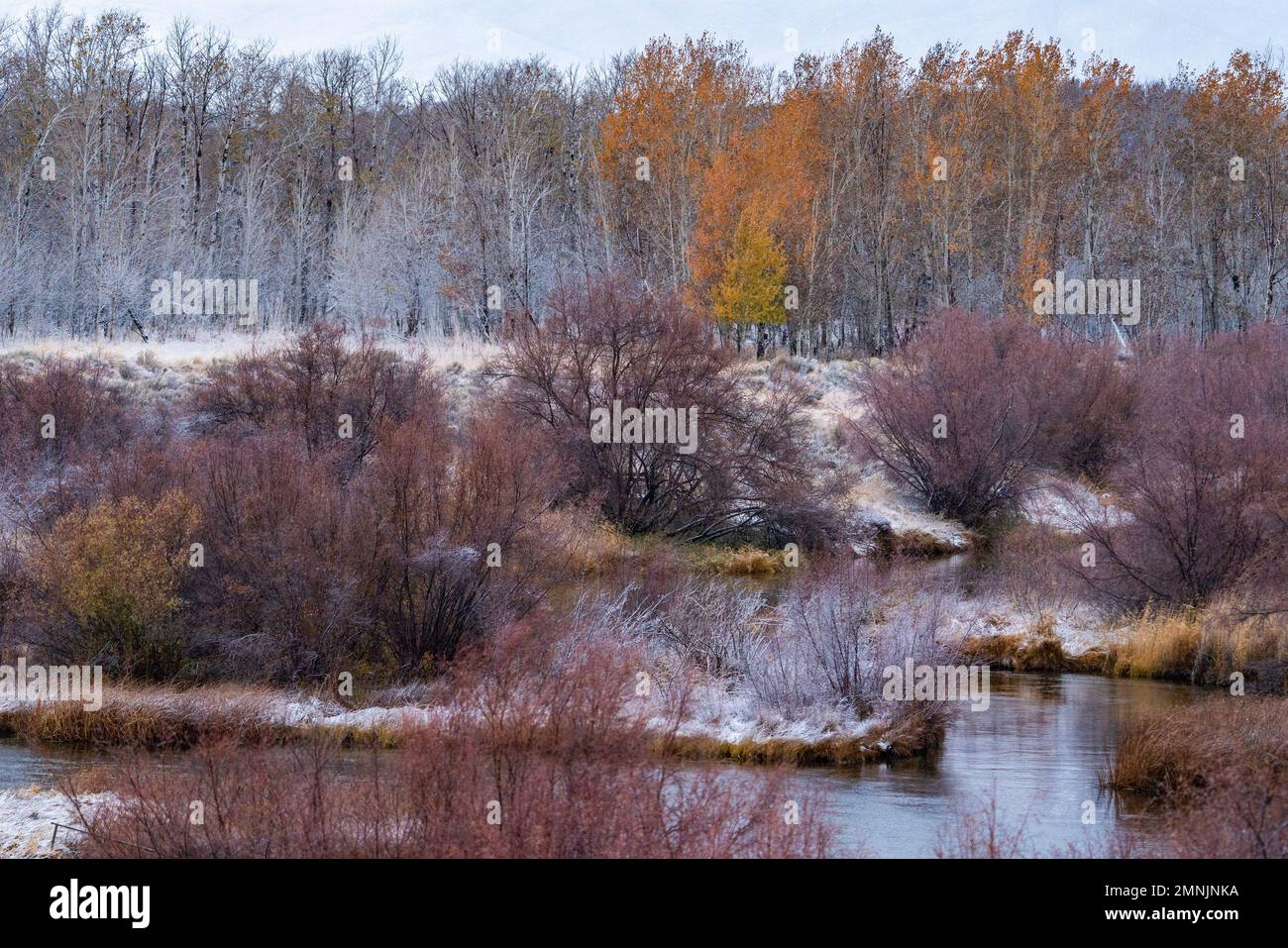 USA, Idaho, Bellevue, cambiamento stagionale nel paesaggio Foto Stock