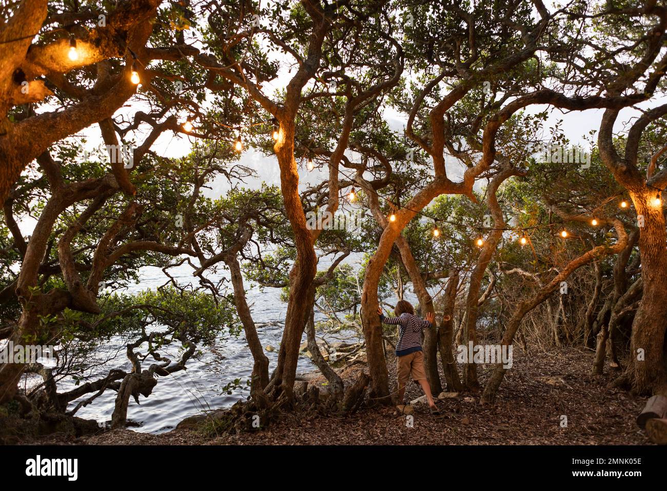 Ragazzo (10-11) in piedi tra gli alberi in laguna Foto Stock
