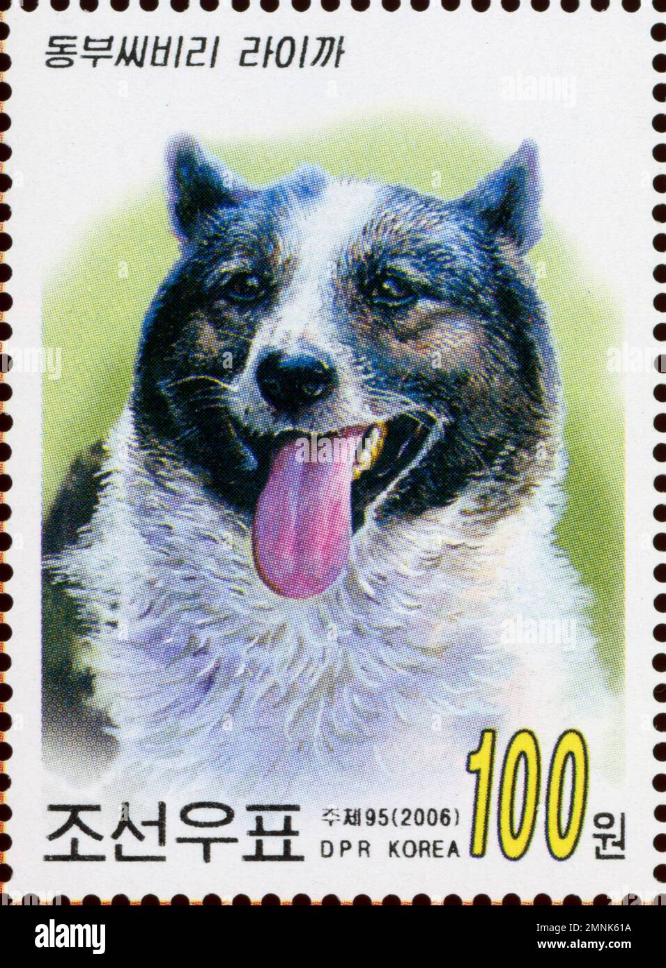 Francobollo nordcoreano del 2006 raffigurante un cane Laika siberiano orientale, taglio da 100 won, collezione filatelica della RPDC. Foto Stock