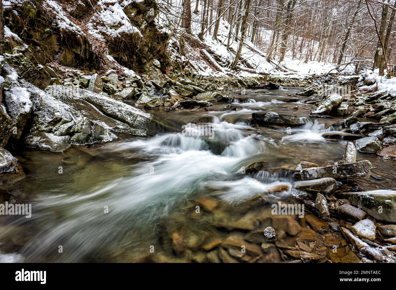 Ruscello di montagna nel paesaggio invernale. Torrente di Prowcza, Parco Nazionale di Bieszczady, Carpazi, Polonia. Una delle destinazioni di viaggio più popolari in Polan Foto Stock