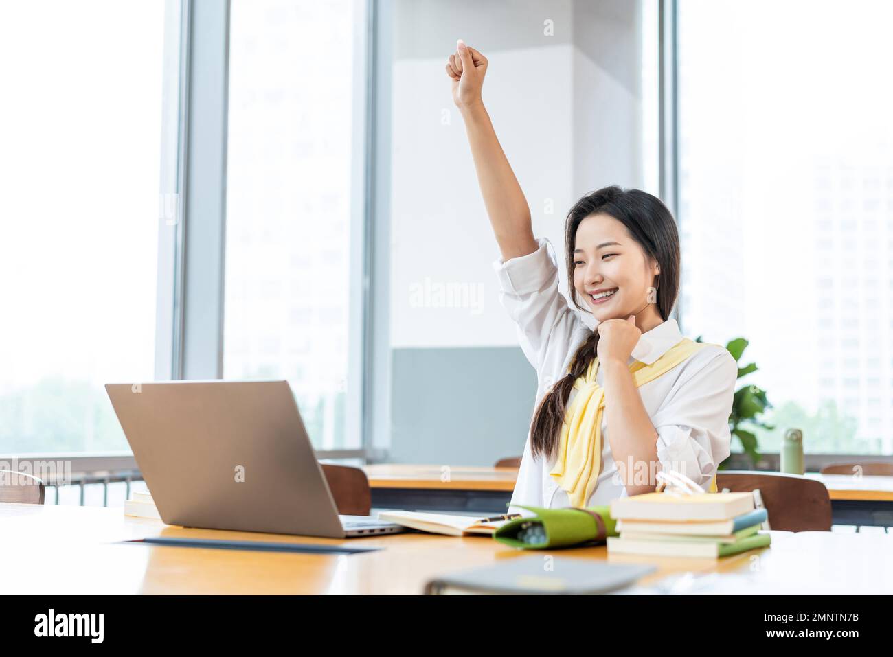 La giovane donna che usa i notebook Foto Stock