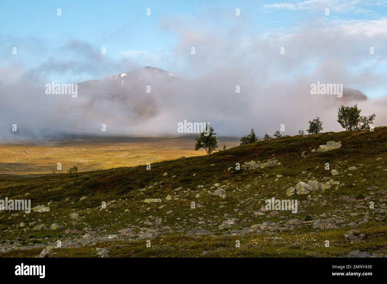 Montagne lungo il sentiero escursionistico di Kungsleden nascosto nelle nuvole basse all'alba tra le baite di Syter e Tarnasjo, Lapponia, Svezia Foto Stock