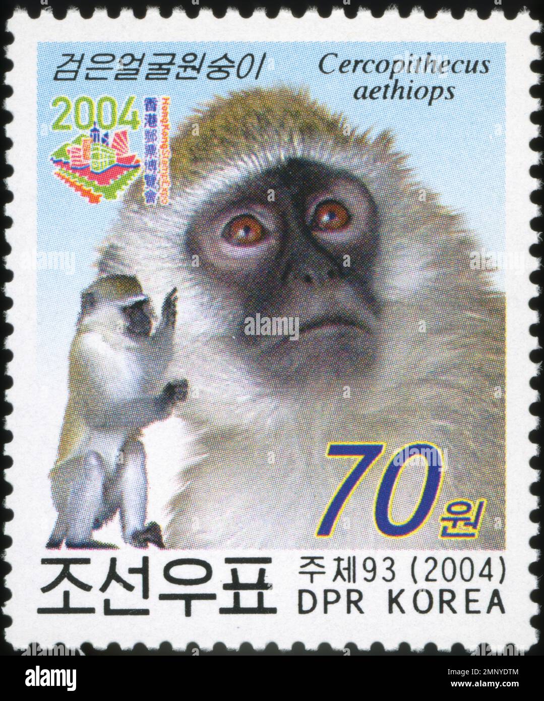 2004 francobollo della Corea del Nord con la scimmia Cercopithecus aethiops, 70 won denomination, DPR Korea Philately. Foto Stock