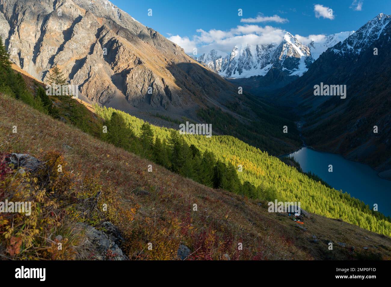 Lago alpino Shavlinskoye nella gola delle montagne all'ombra sullo sfondo dei ghiacciai con neve in Altai. Foto Stock