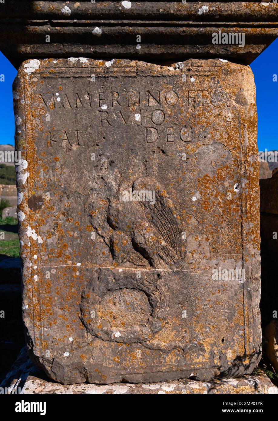 Iscrizioni con un'aquila nelle rovine romane , Nord Africa, Djemila, Algeria Foto Stock