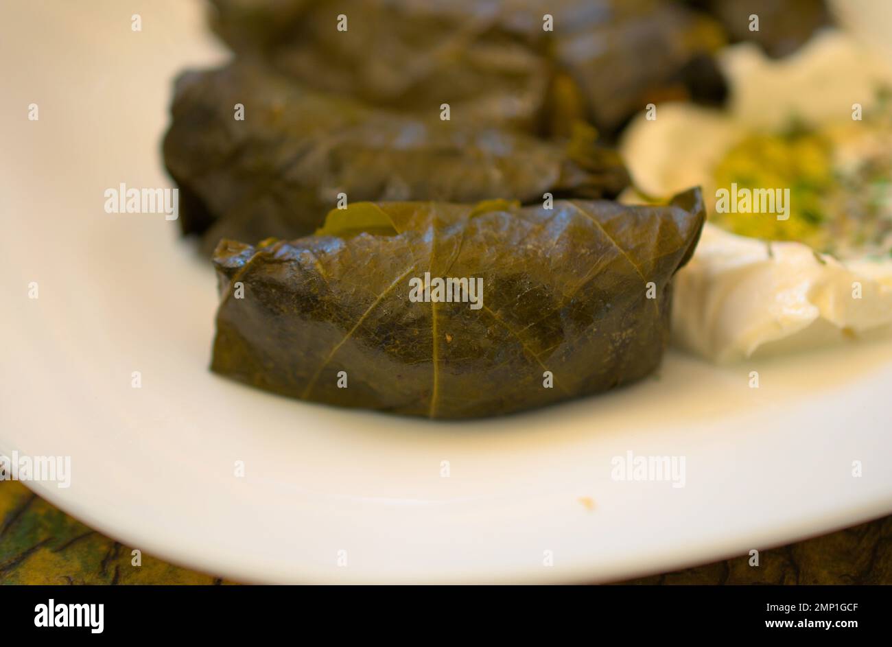 Foglie d'uva farcite con jocoque sul lato Foto Stock