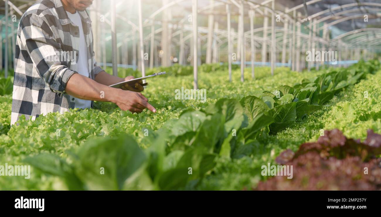 Proprietario asiatico di affari osservato circa crescere biologico in azienda agricola idroponica. Vegetale organico crescente e concetto di energia verde Foto Stock