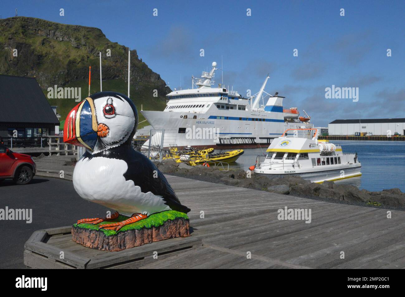 Islanda, Isola di Heimaey: Un puffin, simbolo dell'isola, custodisce il porto. Foto Stock