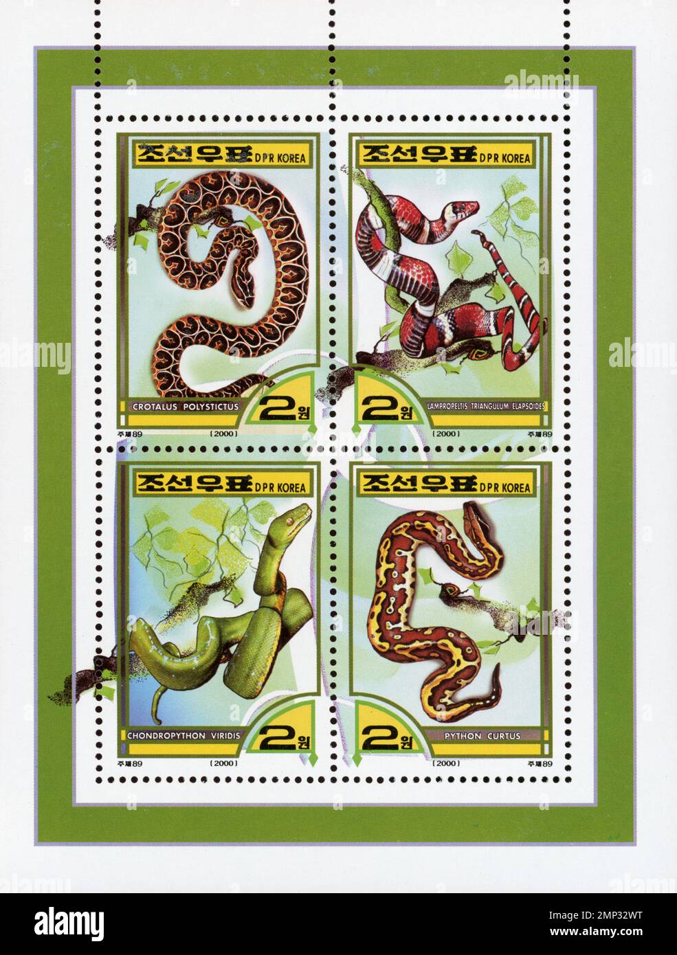 Francobolli nordcoreani del 2000 con serpenti: Crotalus polystictus, Lampropeltis triangulum, Chondropython viridis e Python curtus. Foto Stock