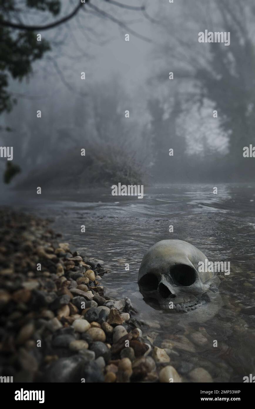 in parte sommerso cranio umano sulla riva del fiume in ghiaia su un fiume nebbioso, stile copertina libro Foto Stock