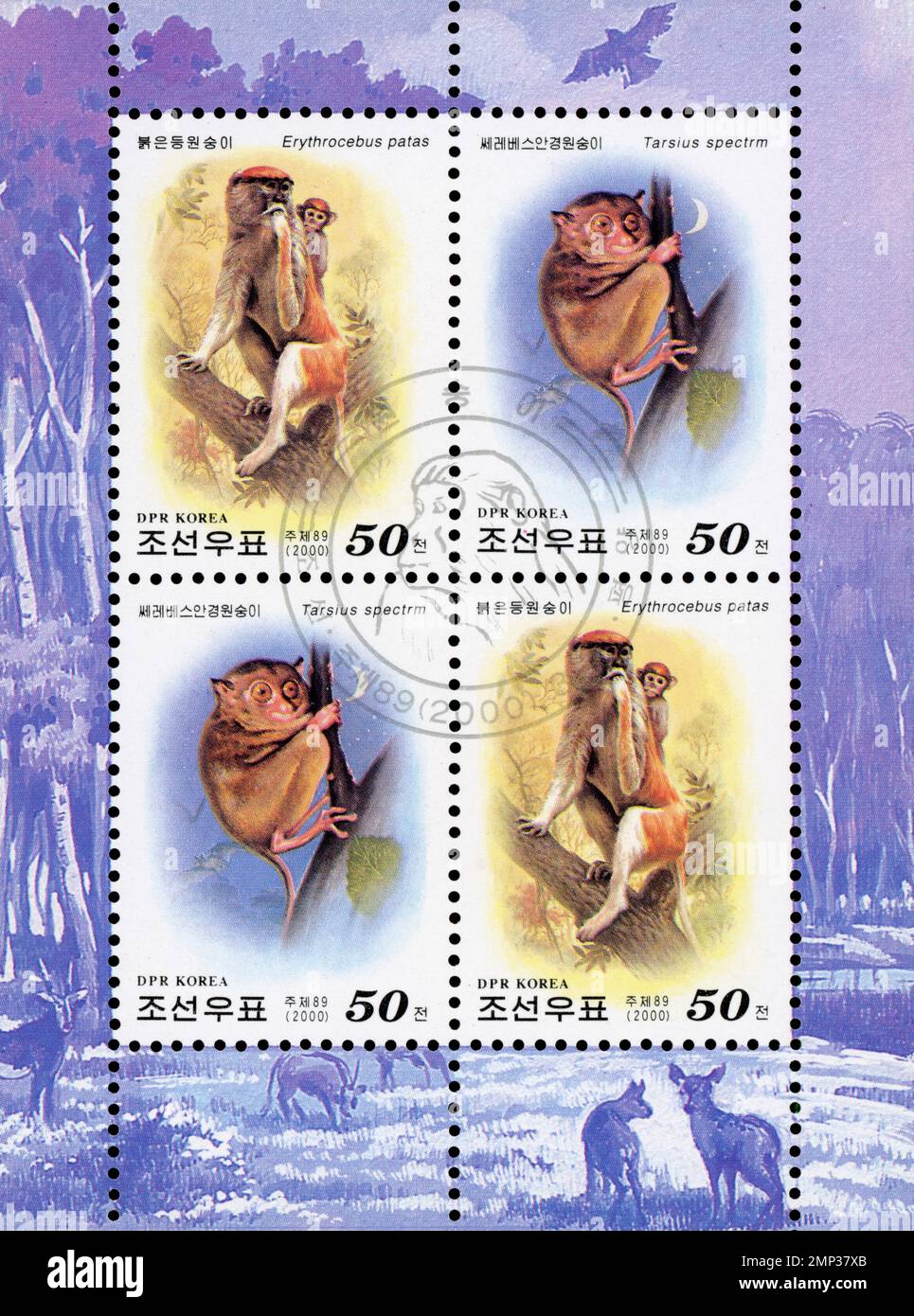 Francobolli nordcoreani del 2000 con scimmie Patas (Erythrocebus patas) e tarsieri spettrali (Tarsius spectrm), DPR Korea Philately. Foto Stock