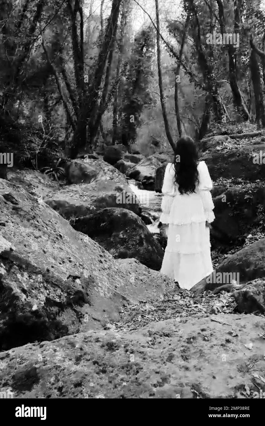 strega nel bosco Foto Stock