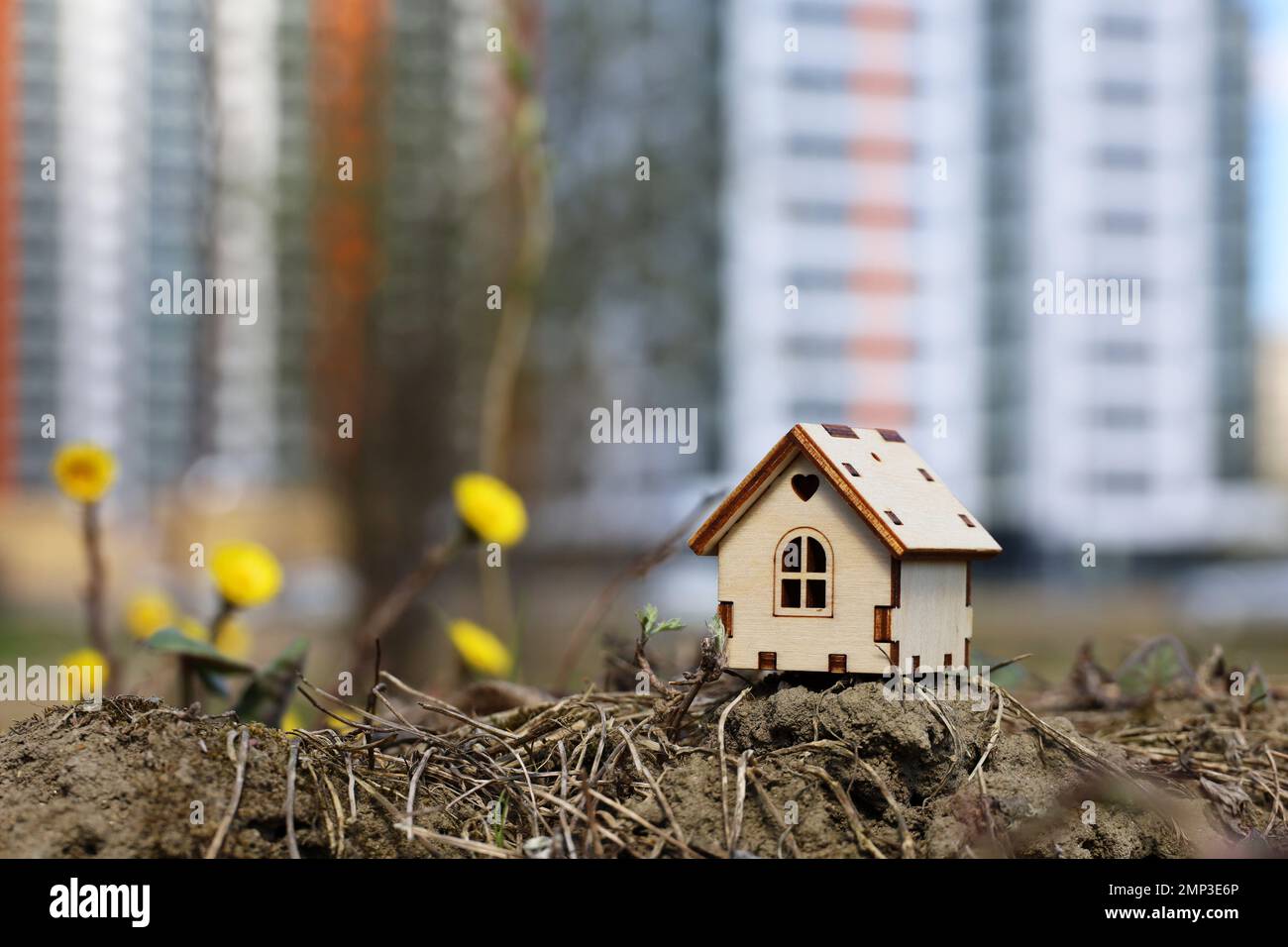 Modello di casa in legno e fiori primaverili di zampa sullo sfondo di alti edifici residenziali. Concetto di cottage di campagna, immobiliare Foto Stock