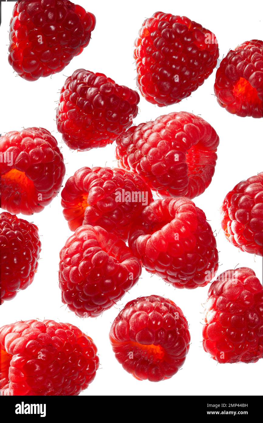 lampone lamponi frutta rosso fresco tagliato fuori estate frutti vividi mangiare sano sfondo bianco affilato alta risoluzione galleggiante vitamina C gruppo Foto Stock
