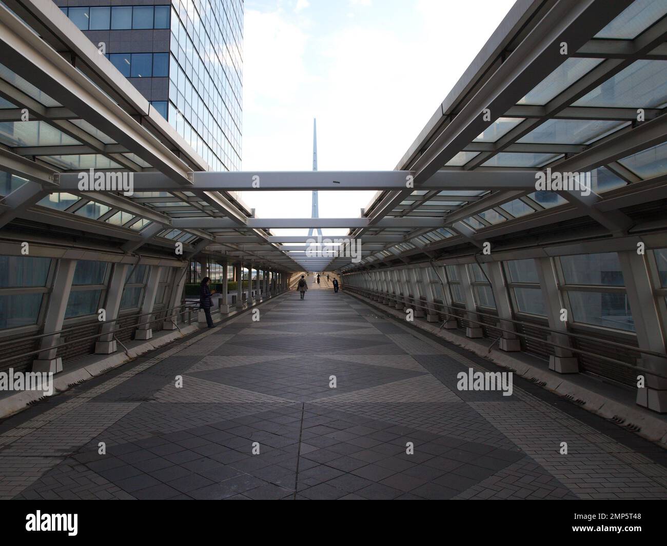 Ponte in Giappone Foto Stock