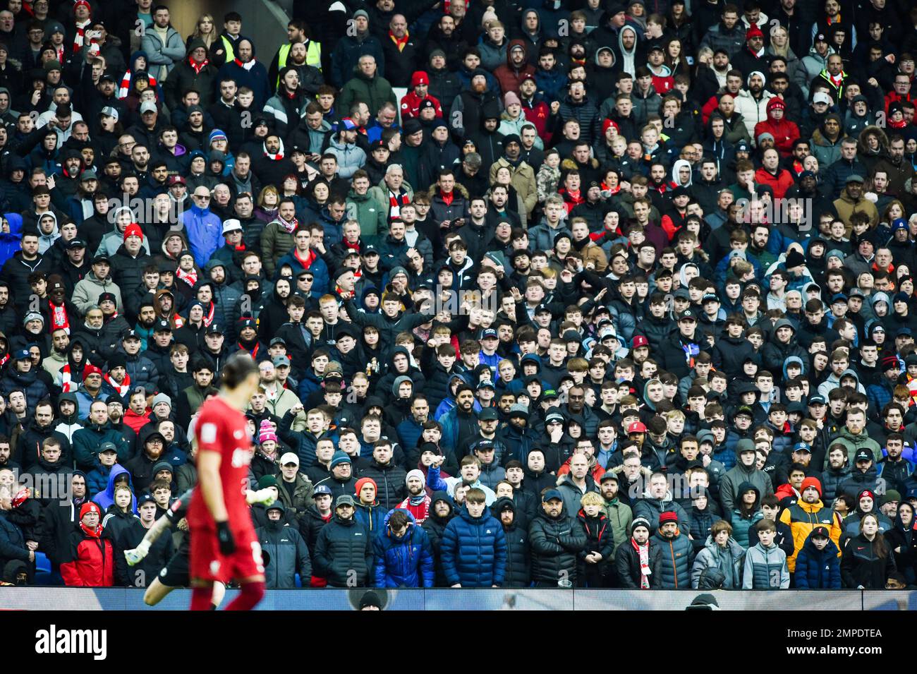 I tifosi di Liverpool durante la partita della Emirates fa Cup Fourth Round tra Brighton & Hove Albion e Liverpool all'American Express Community Stadium , Brighton , UK - 29th gennaio 2023 Foto Simon Dack/Telephoto Images. Solo per uso editoriale. Nessun merchandising. Per le immagini di calcio si applicano le restrizioni di fa e Premier League inc. Nessun utilizzo di Internet/cellulare senza licenza FAPL - per i dettagli contattare Football Dataco Foto Stock