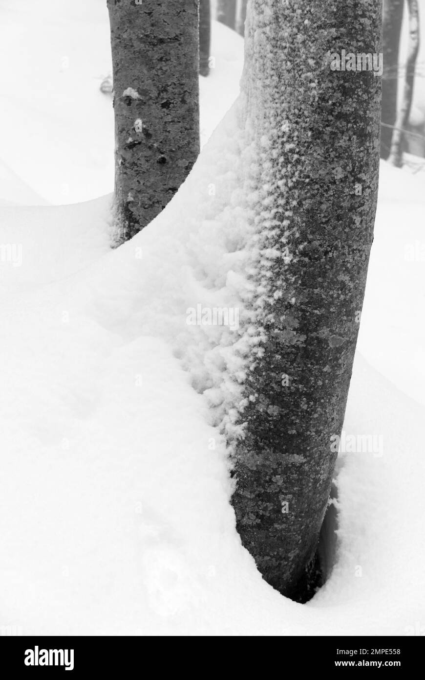 Inverno in appennino, neve alla caduta di Dardagna, Italia Foto Stock