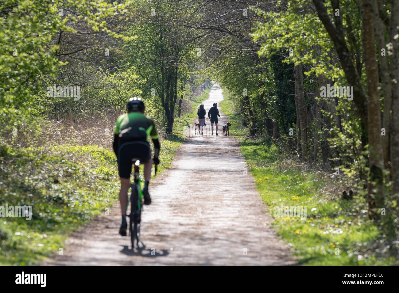 Pista ciclabile Route 7 e sentiero John Muir Way sulla linea ferroviaria in disuso vicino a Croftamie, Stirling, Scozia, Regno Unito Foto Stock