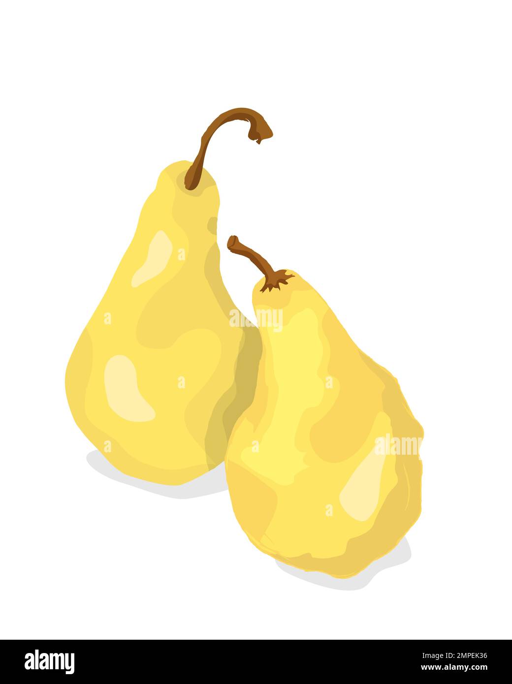 Due pere dorate su bianco, illustrazione vettoriale Illustrazione Vettoriale