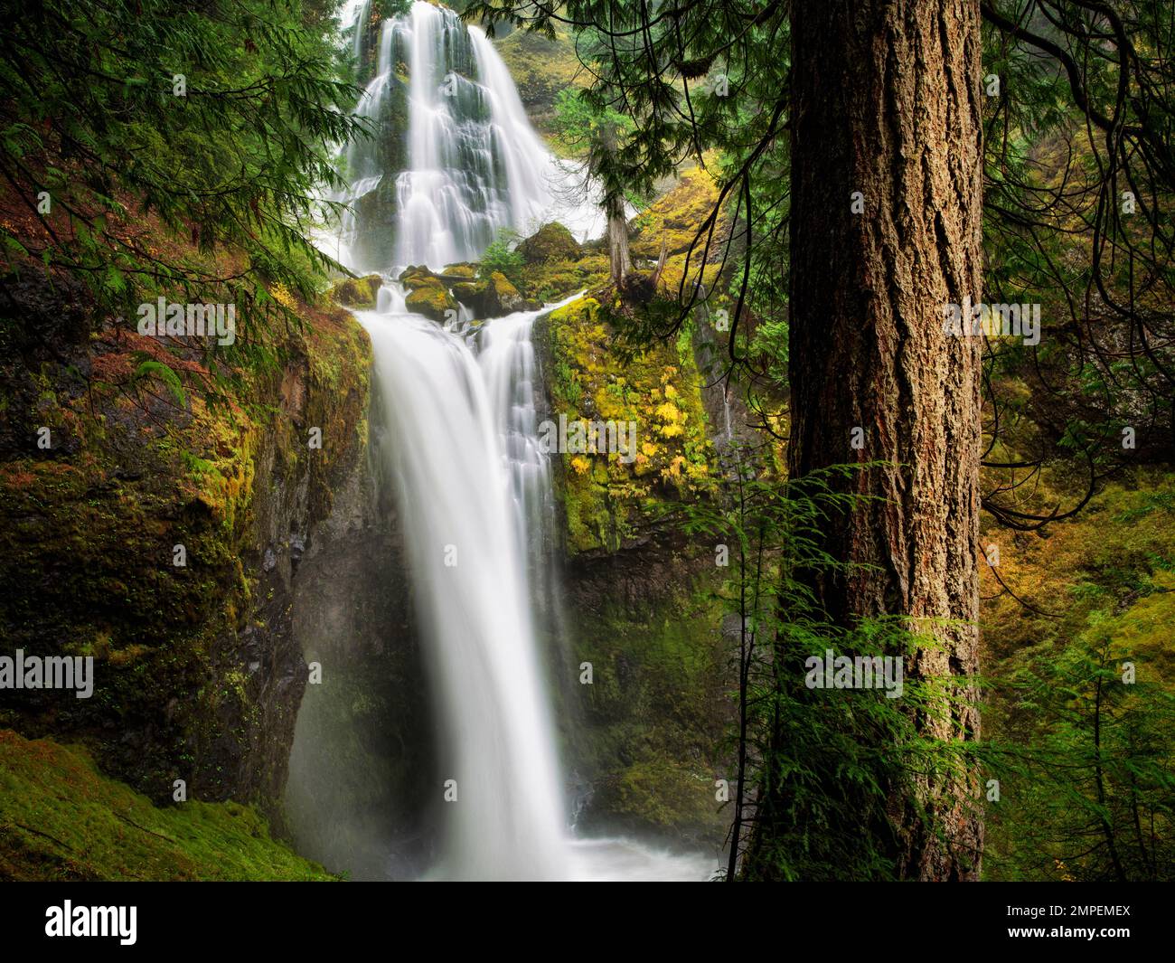 Falls Creek Falls, Washington. Foto Stock