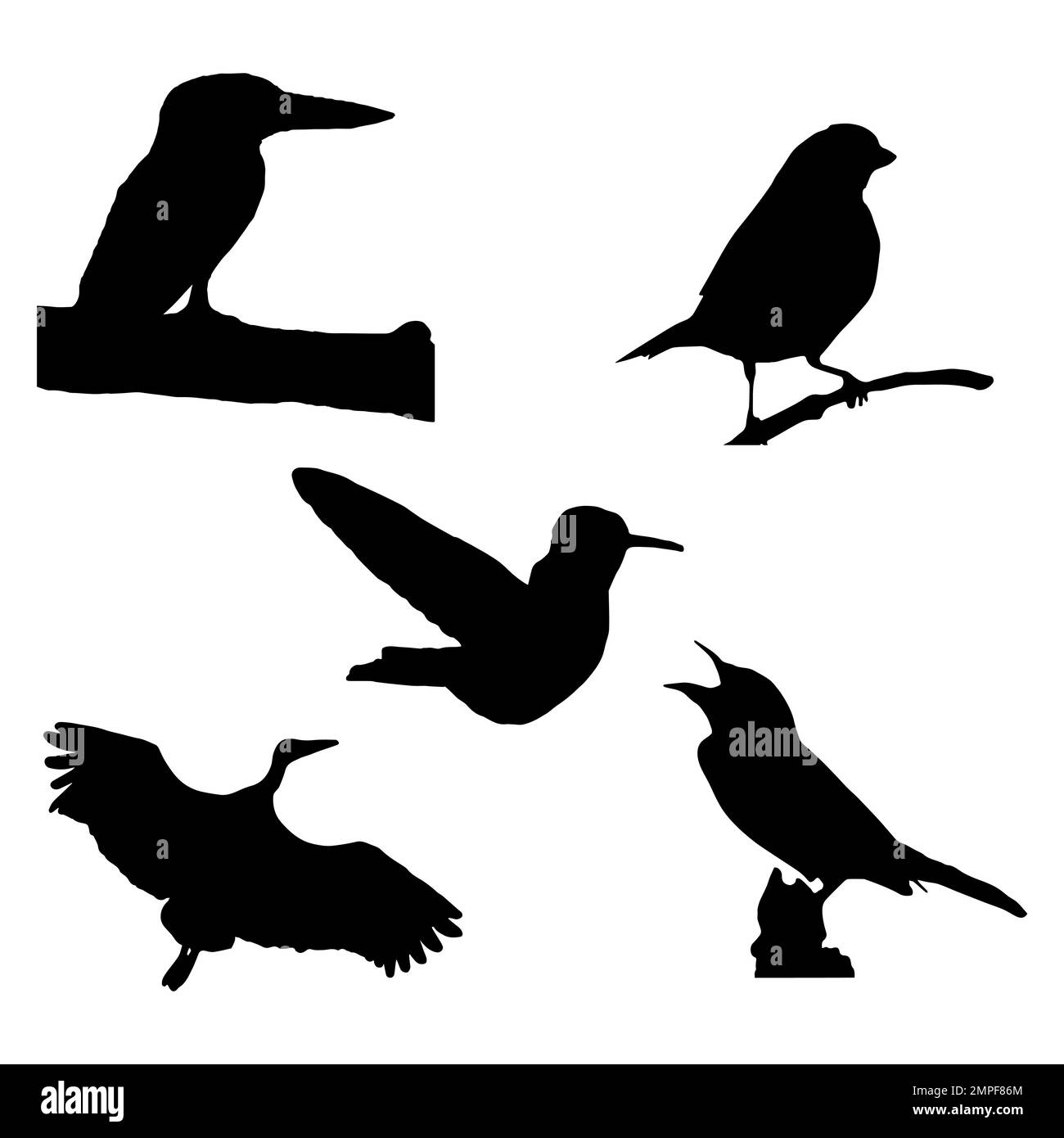 Silhouette di uccelli, ambientato, isolato su sfondo bianco Foto Stock