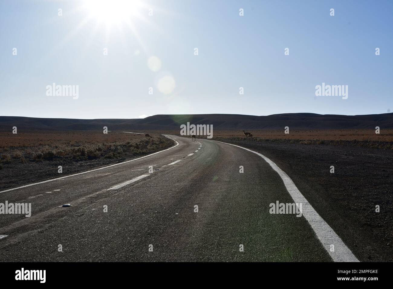 Solitario strada curva deserto bokeh cile Sud America Foto Stock