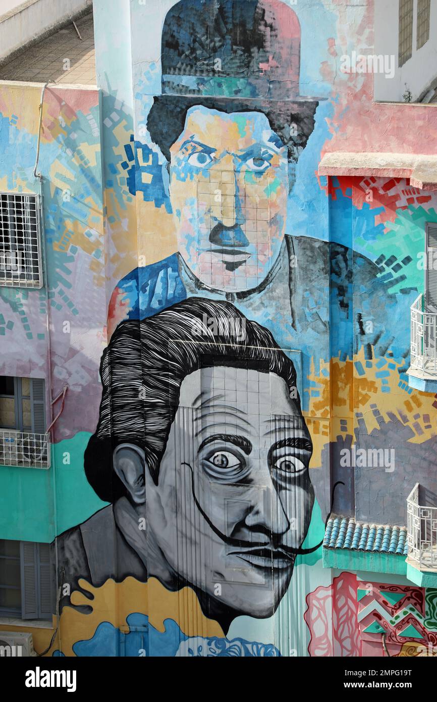 Particolare della facciata dipinta dell'Accademia d'Arte di Cartagine di Tunisi Foto Stock