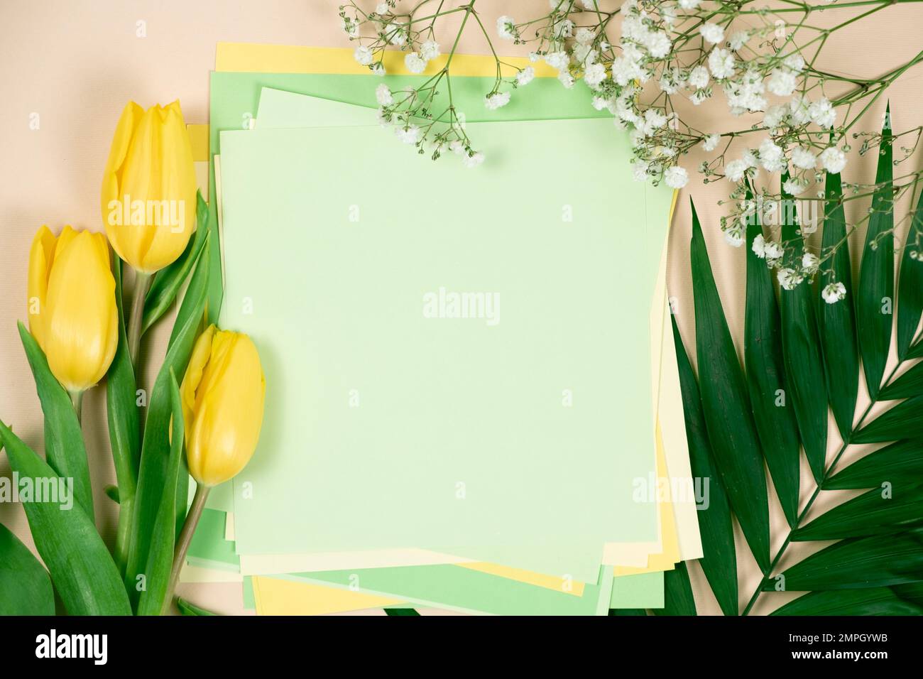 Primavera mockup - fiori e un posto per il testo. Ciao marzo, aprile, maggio, buona giornata delle donne Foto Stock
