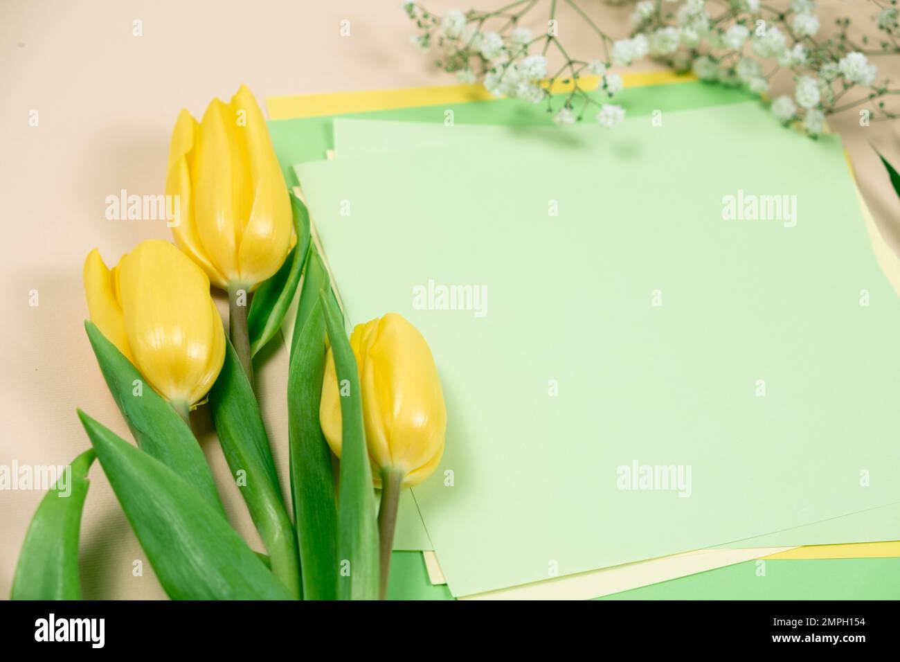 Primavera mockup - tulipani gialli e un posto per il testo. Ciao marzo, aprile, maggio, buona giornata delle donne Foto Stock