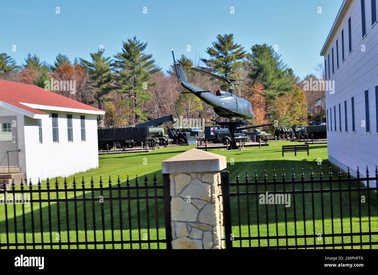Phoenicopterus Ruber / Caribbean Flamingo In Parco Natura Viva - Foto 6