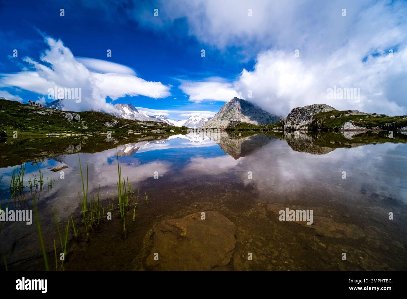 Cime innevate del paesaggio alpino sopra il Ghiacciaio Aletsch che si riflette in un piccolo lago di montagna. Foto Stock