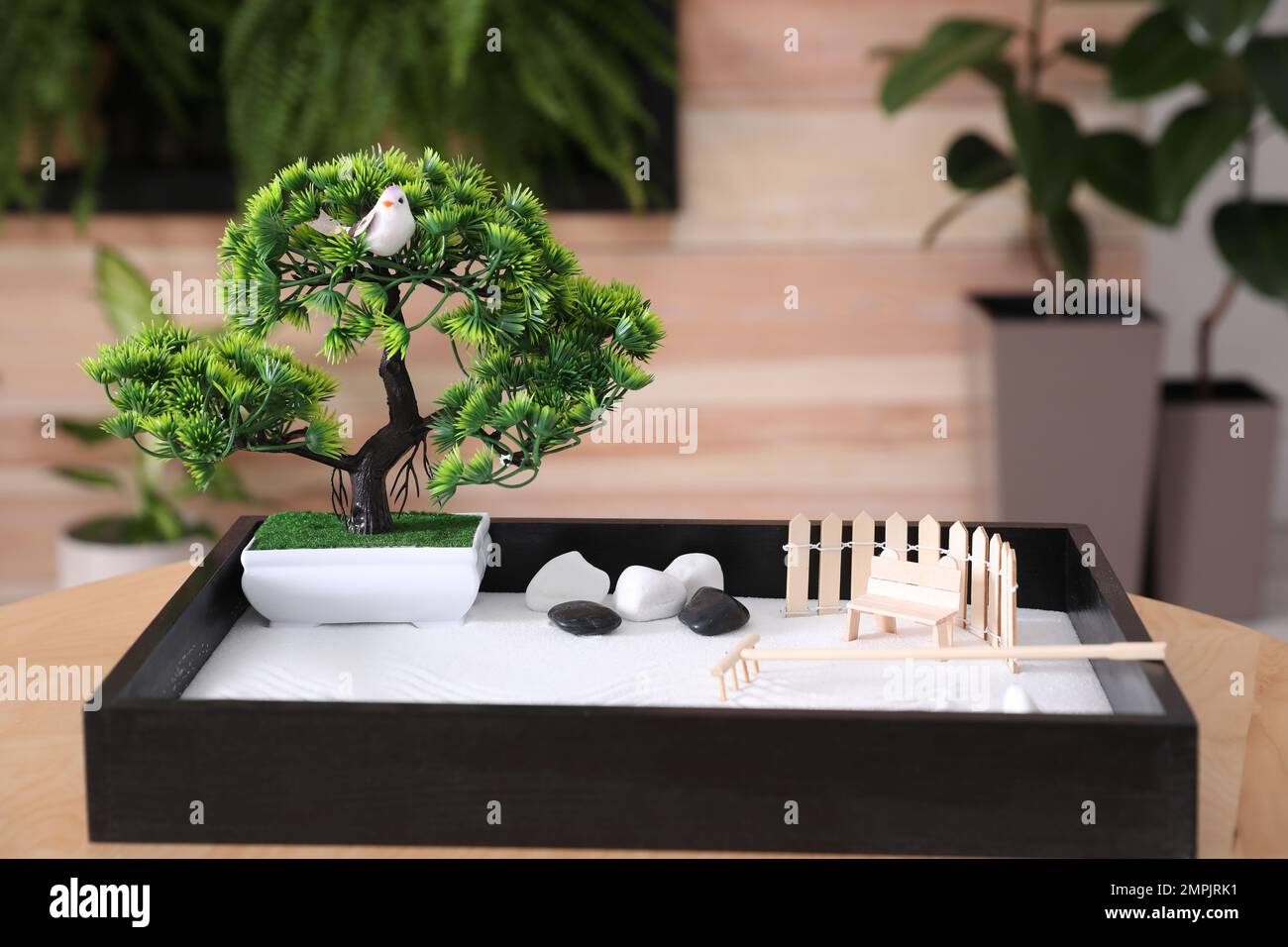 Bel giardino zen in miniatura su tavolo in legno al coperto Foto stock -  Alamy