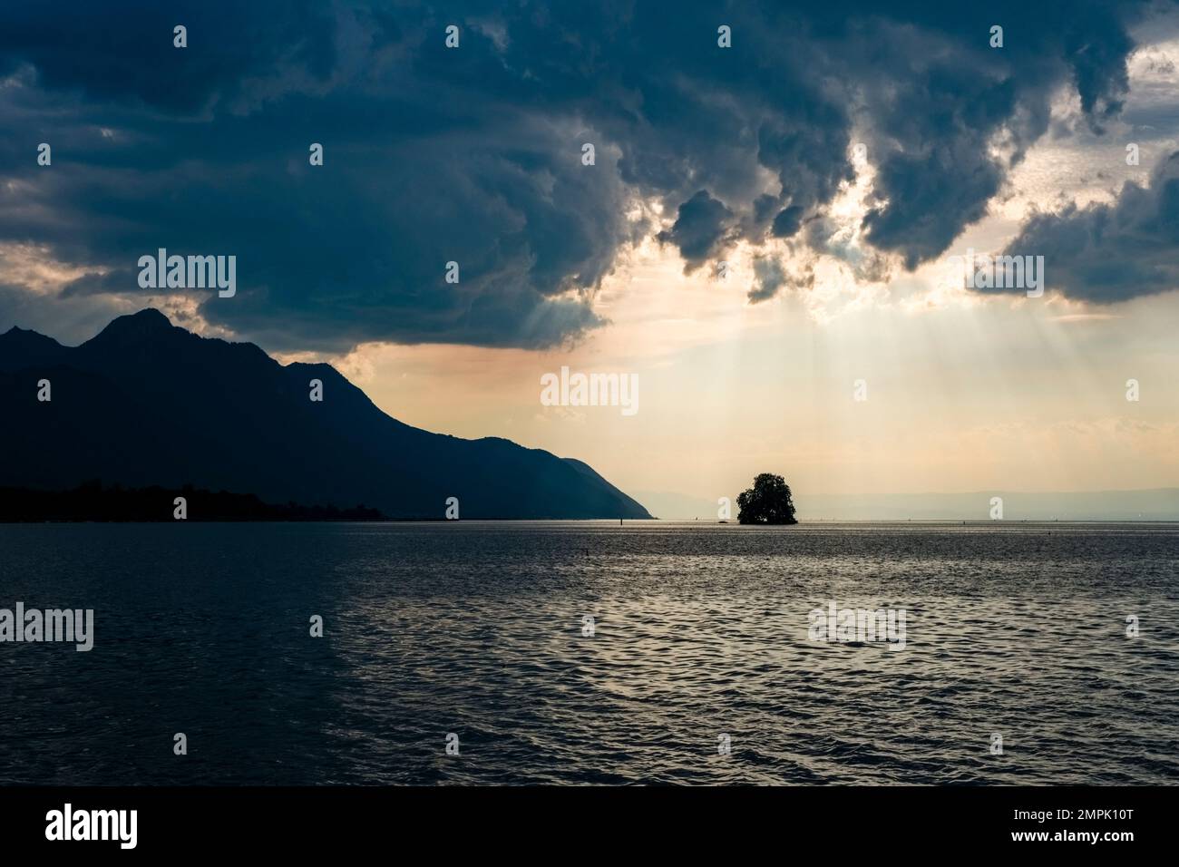 Nuvole buie tempesta che si costruiscono sul Lago di Ginevra, un unico albero su una piccola isola e paesaggi alpini in lontananza. Foto Stock