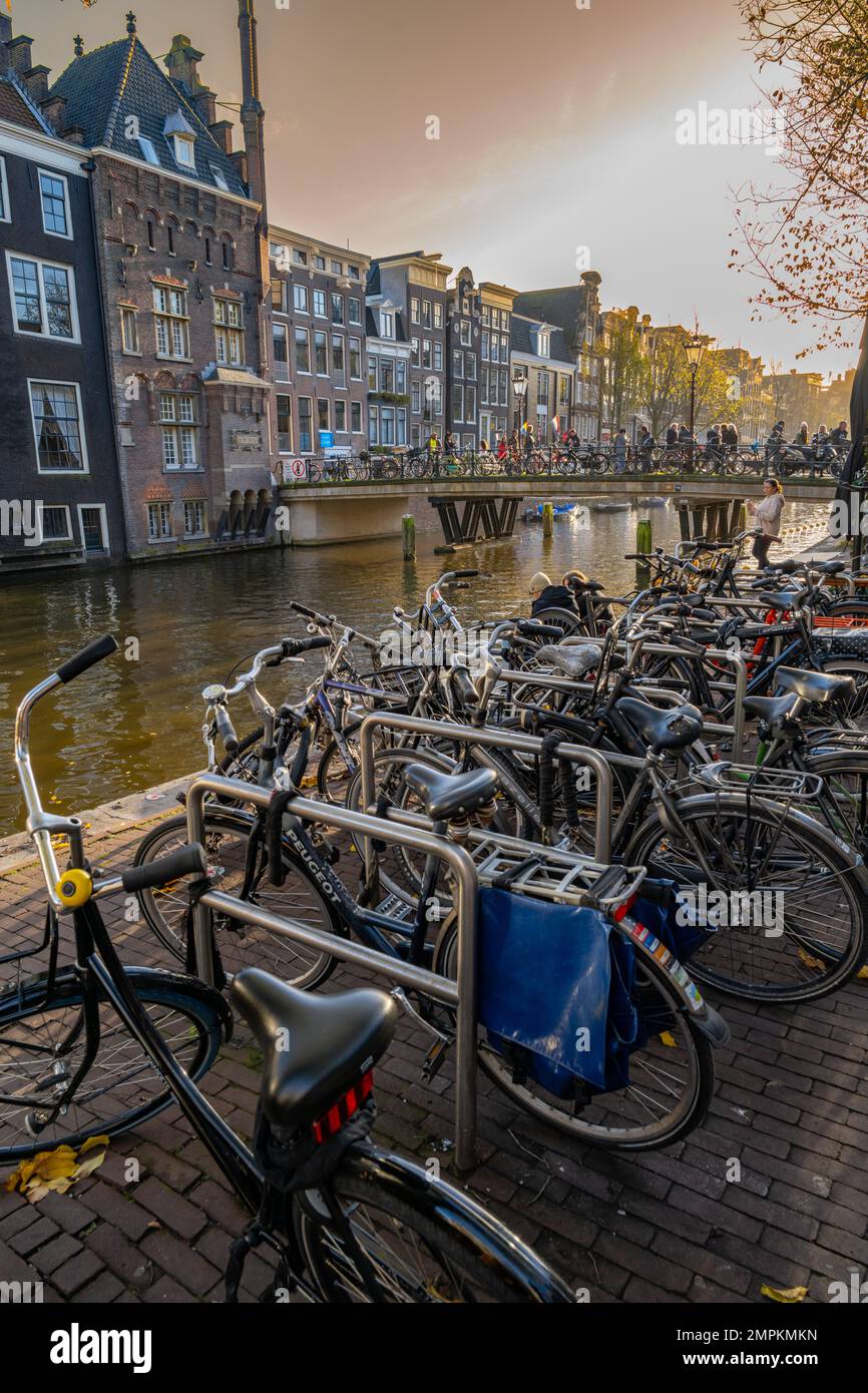 Biciclette parcheggiate sul bordo del canale Voorburgwal Oudezijds con il ponte di strada Armbrug sullo sfondo. Foto Stock