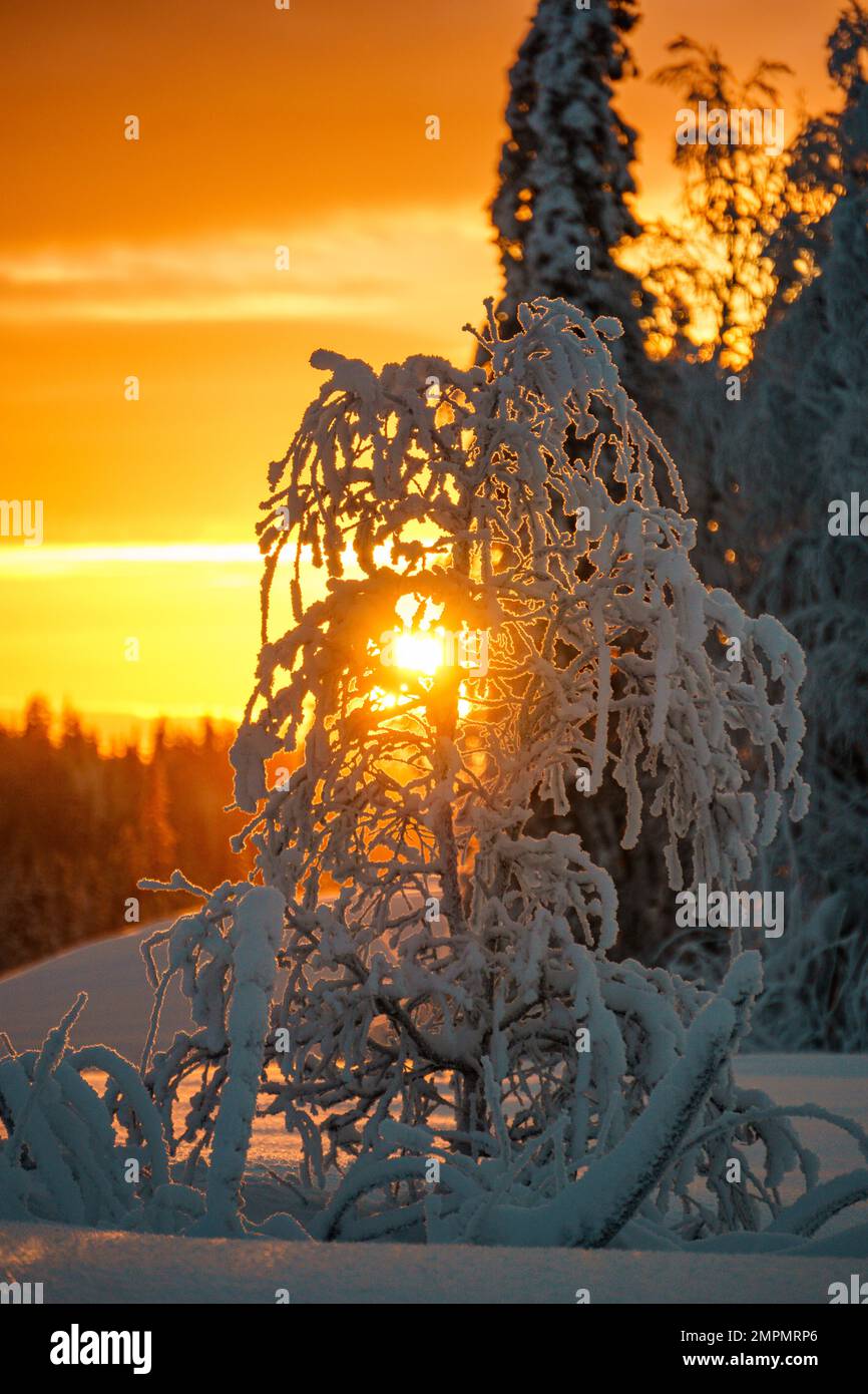 LAPPLAAND SVEDESE, GAMMELSTAD Foto Stock