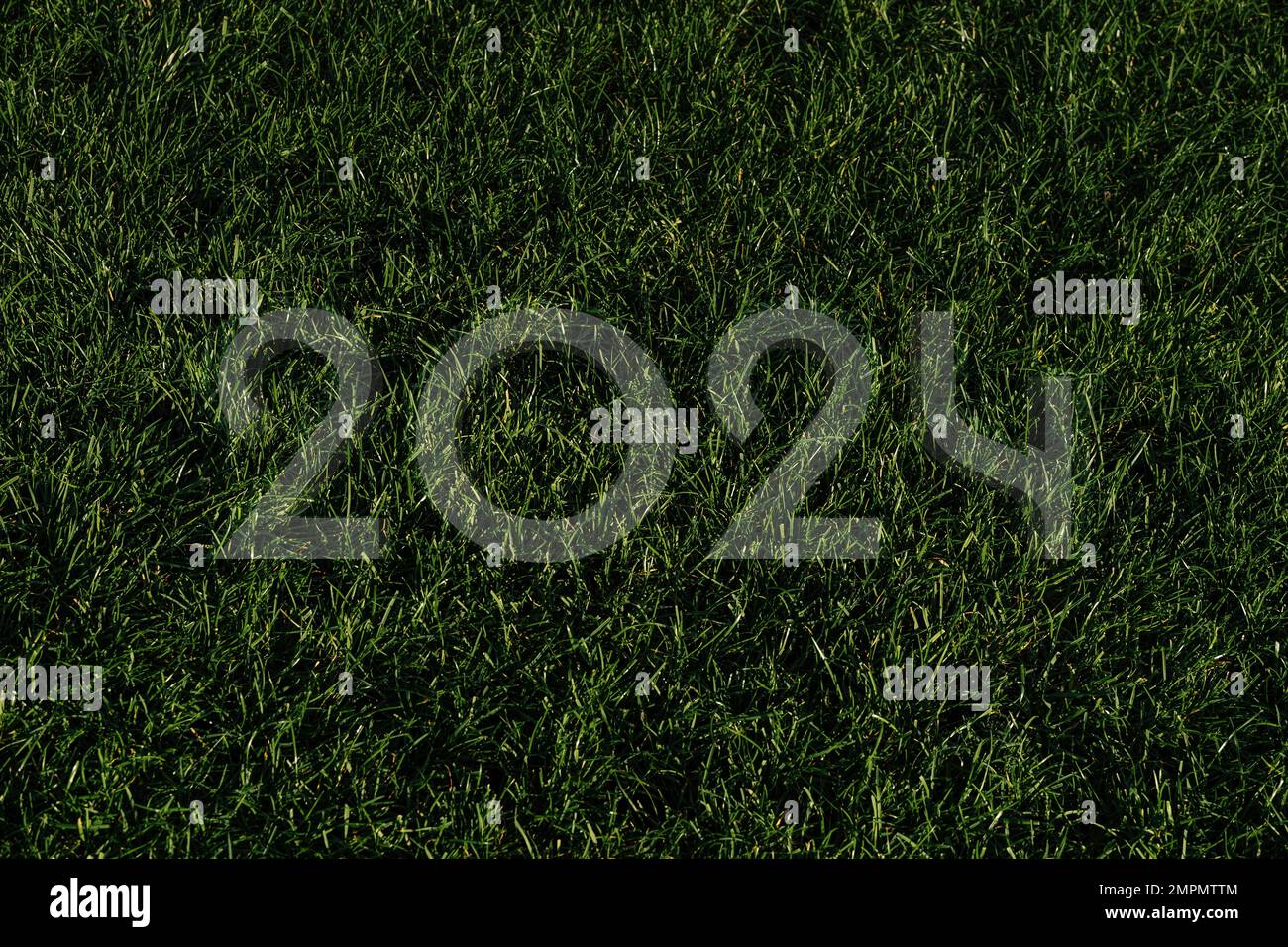 sfondo verde erba campo di calcio con numeri 2024 Foto Stock