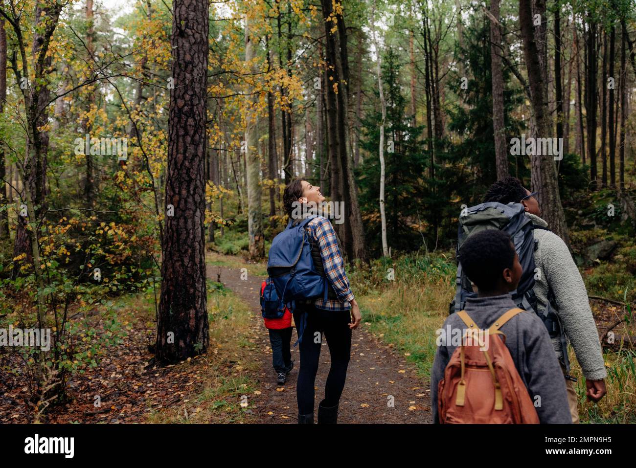 I genitori esplorano la foresta con i bambini mentre camminano sui sentieri durante le vacanze Foto Stock