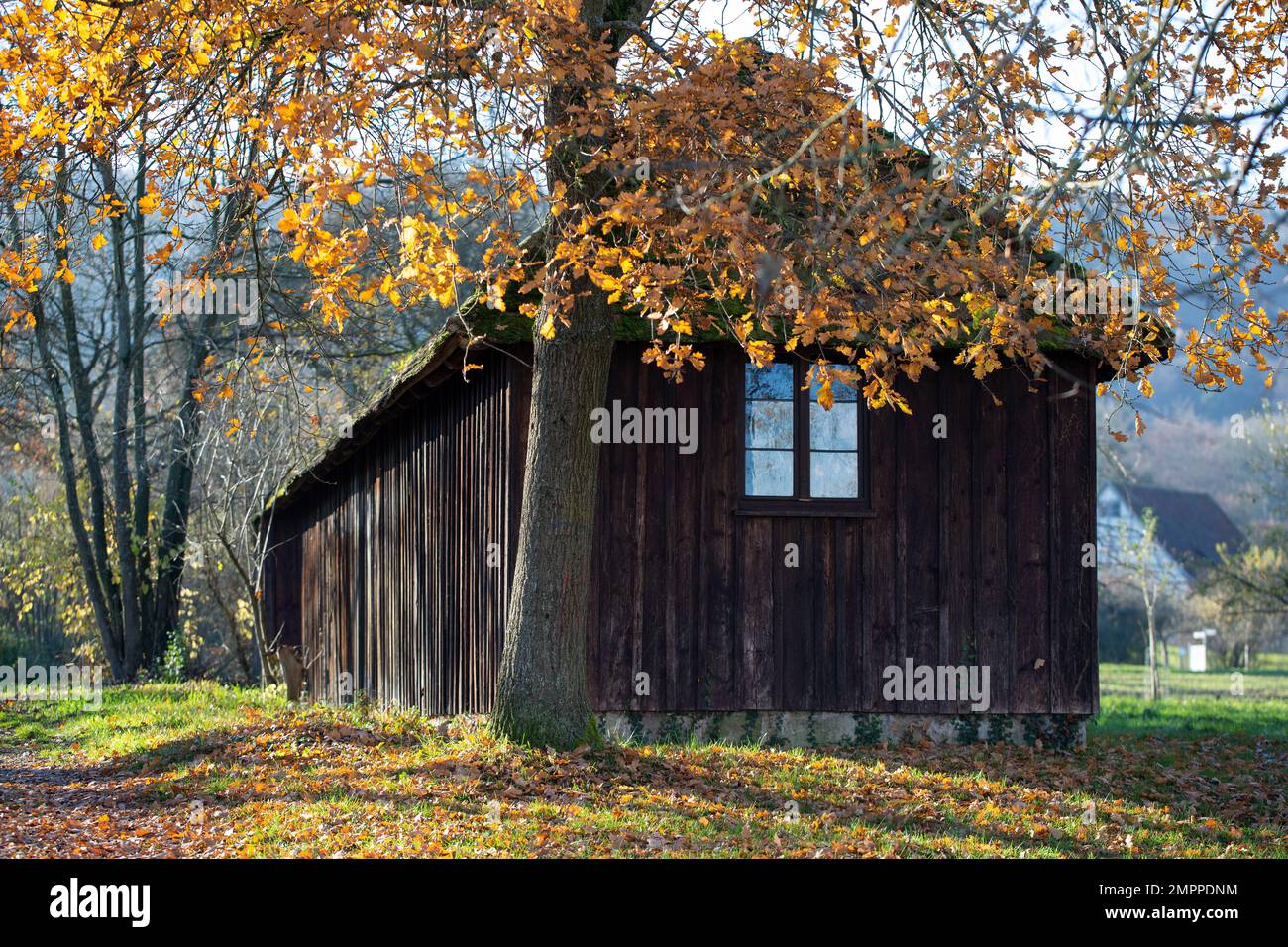 Vecchia cabina lunga in legno ai margini di una foresta in autunno Foto Stock