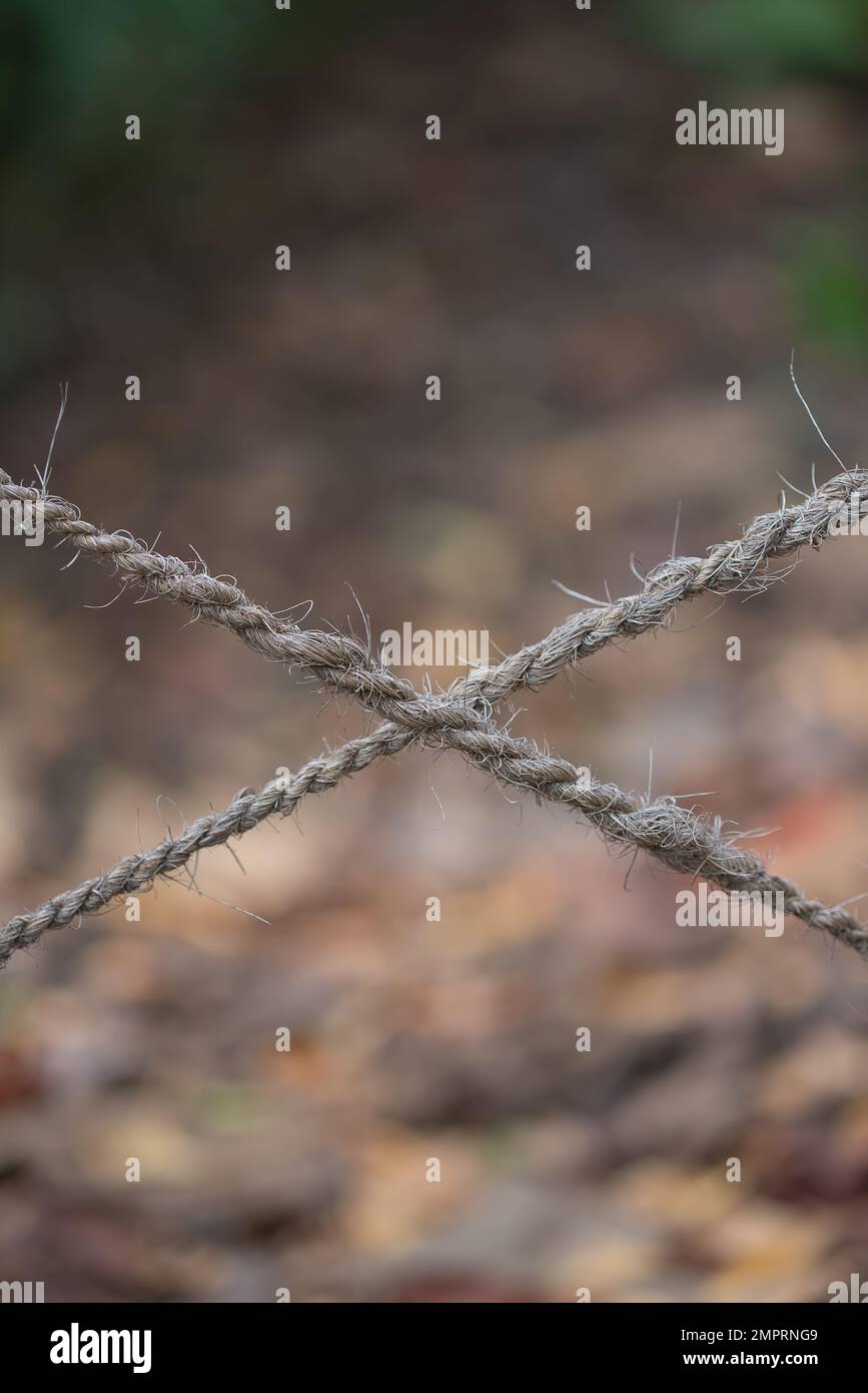 Un primo piano verticale di corde di forma incrociata Foto Stock