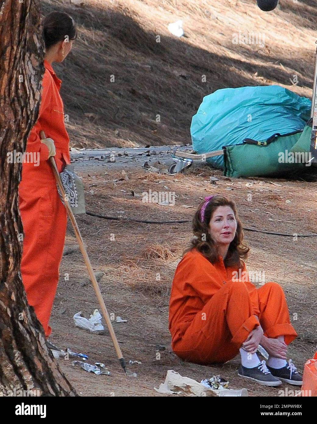 Dana delany and teri hatcher immagini e fotografie stock ad alta ...