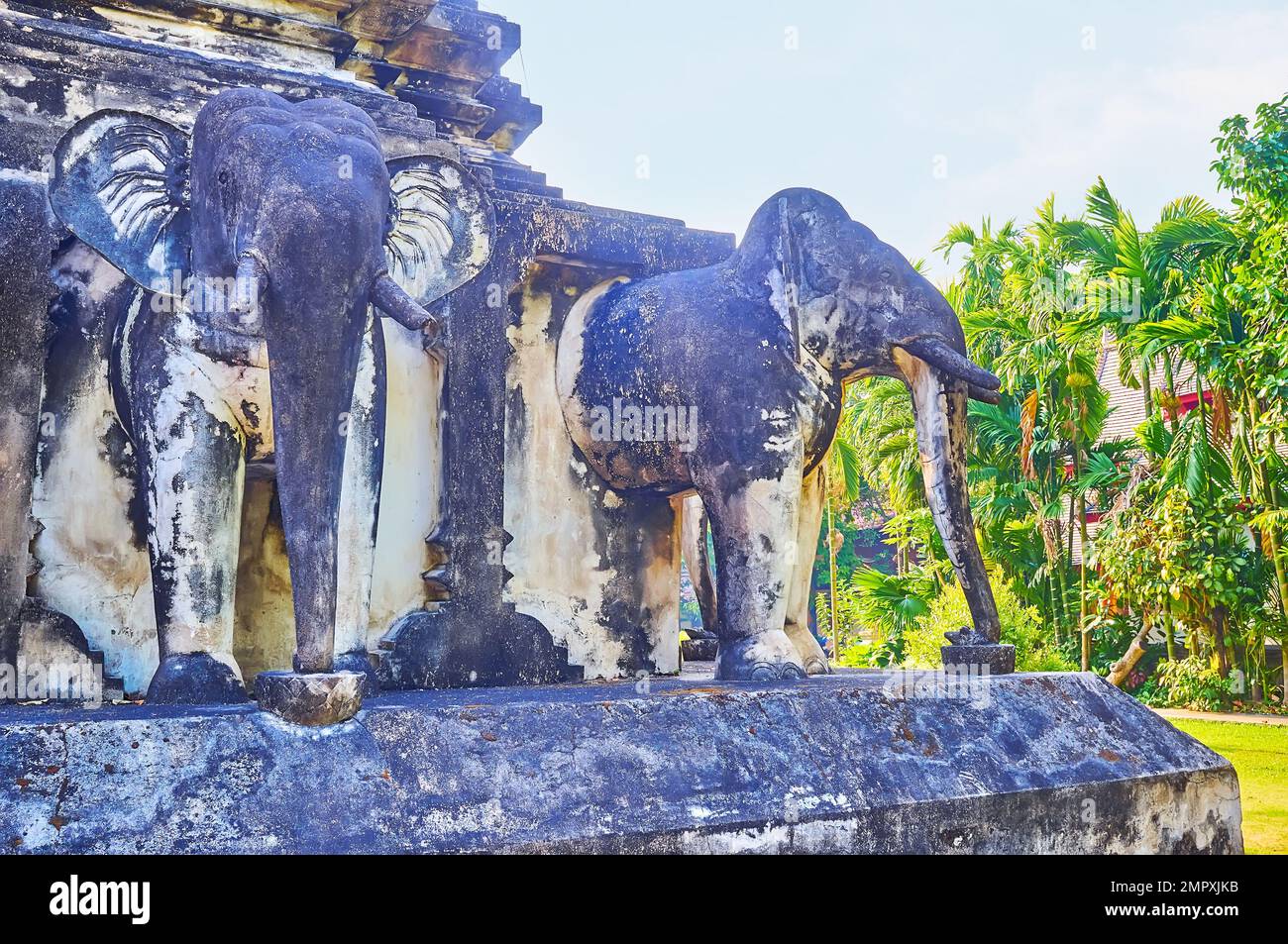 Sculture storiche di elefanti del Chedi Chang Lom (Elephant Chedi) contro il giardino tropicale del tempio Wat Chiang Man, Chiang mai, Thailandia Foto Stock