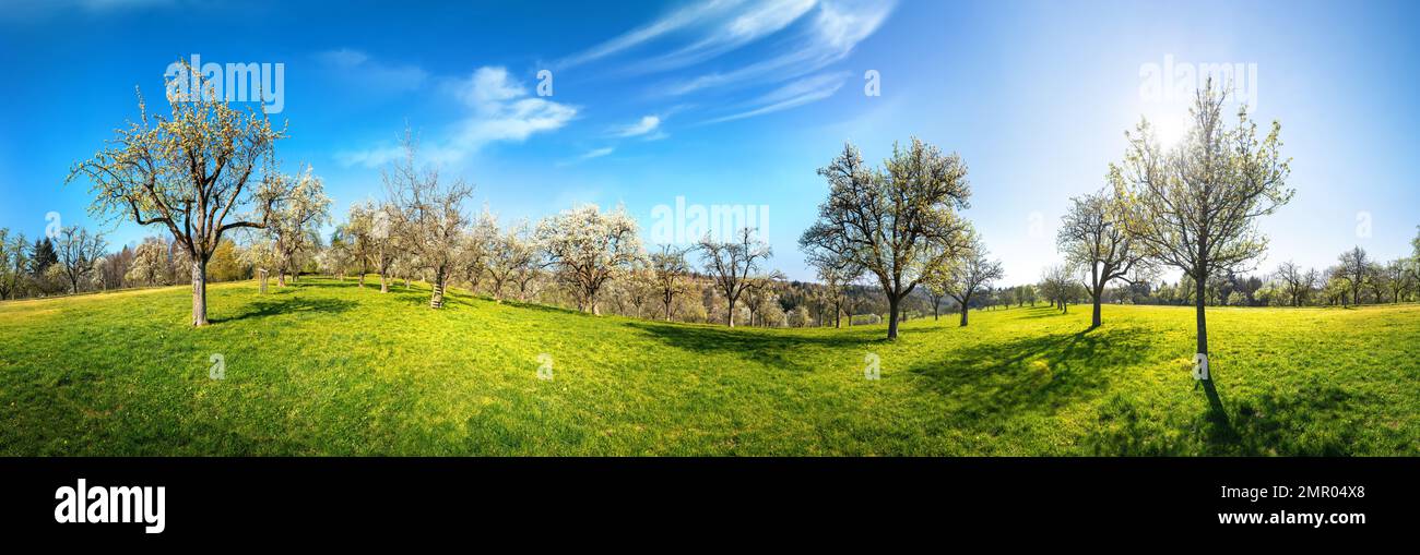 Idilliaco panorama rurale in una giornata di sole, un paesaggio rilassante girato con un prato verde e cielo blu Foto Stock