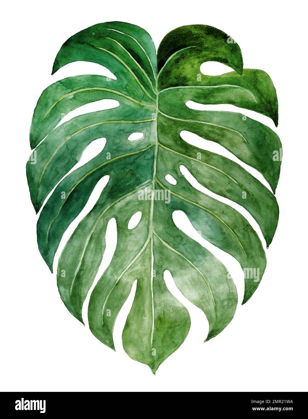 Bella foglia tropicale acquerello dipinta su carta bianca, vista dall'alto Foto Stock