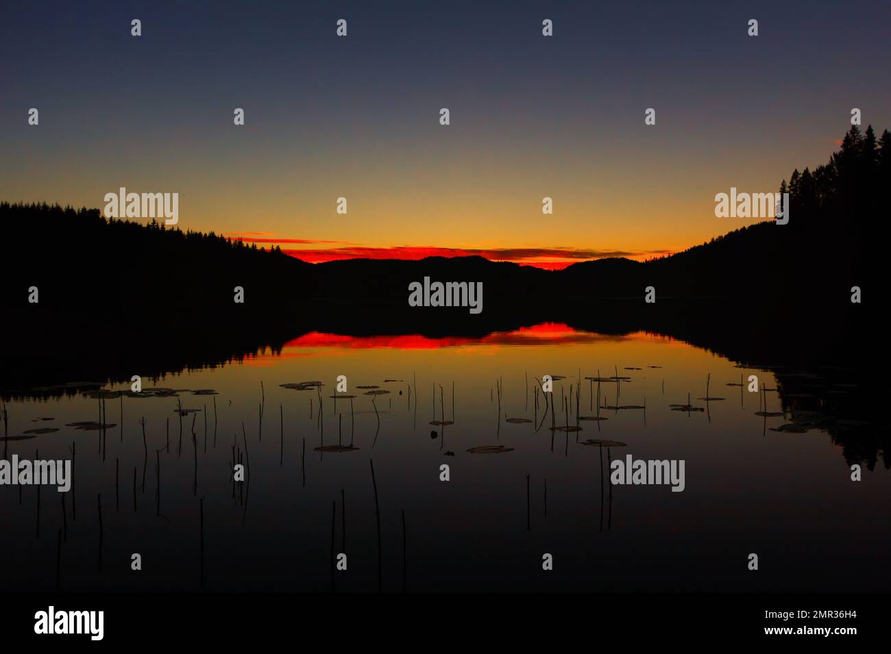 Tramonto panoramico in un tranquillo lago svedese sul sentiero dell'alta costa in estate Foto Stock