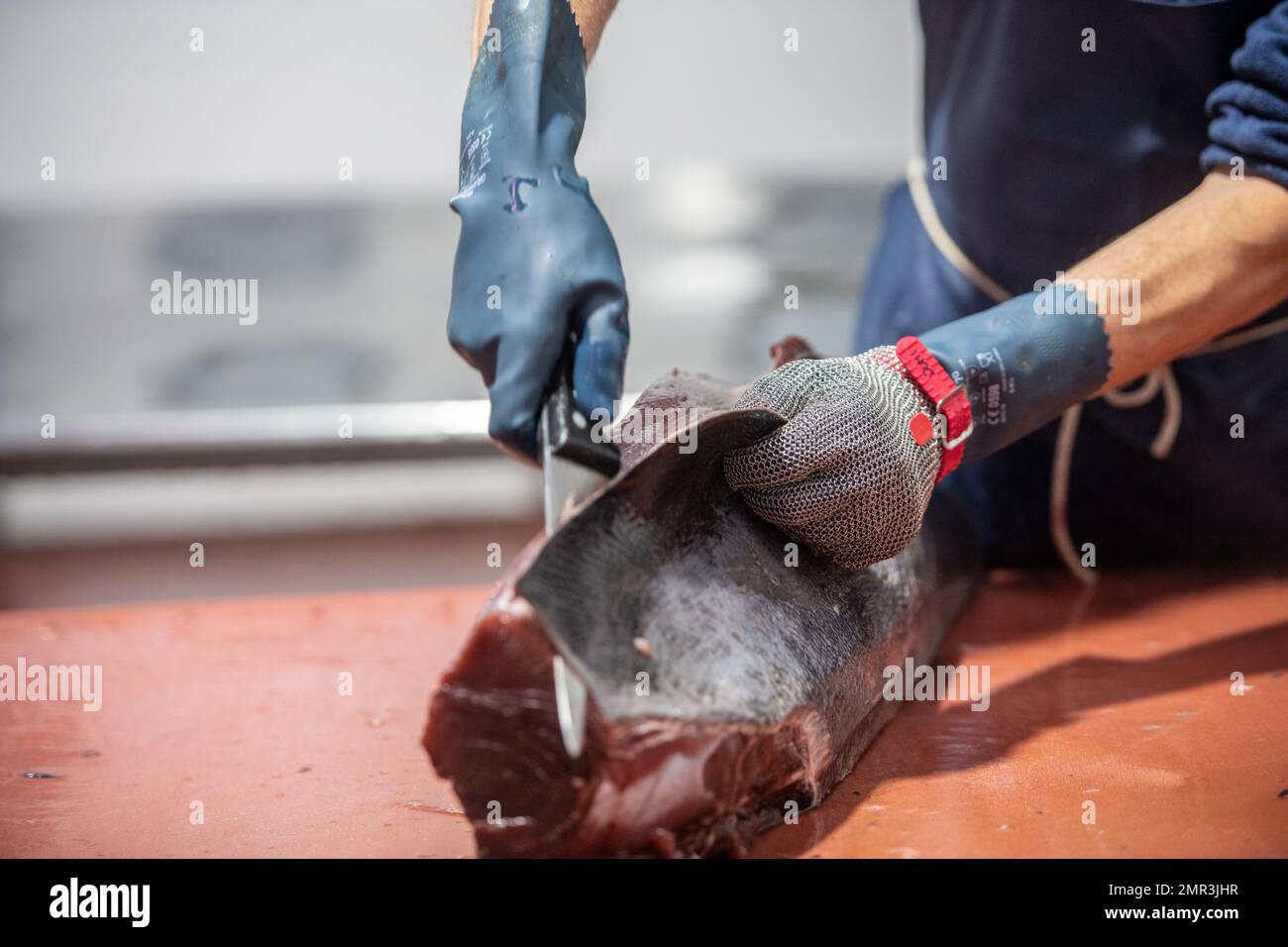 Taglio e preparazione del pesce per il processo di inscatolamento, fabbrica di inscatolamento del pesce (USISA), Isla Cristina, Spagna Foto Stock