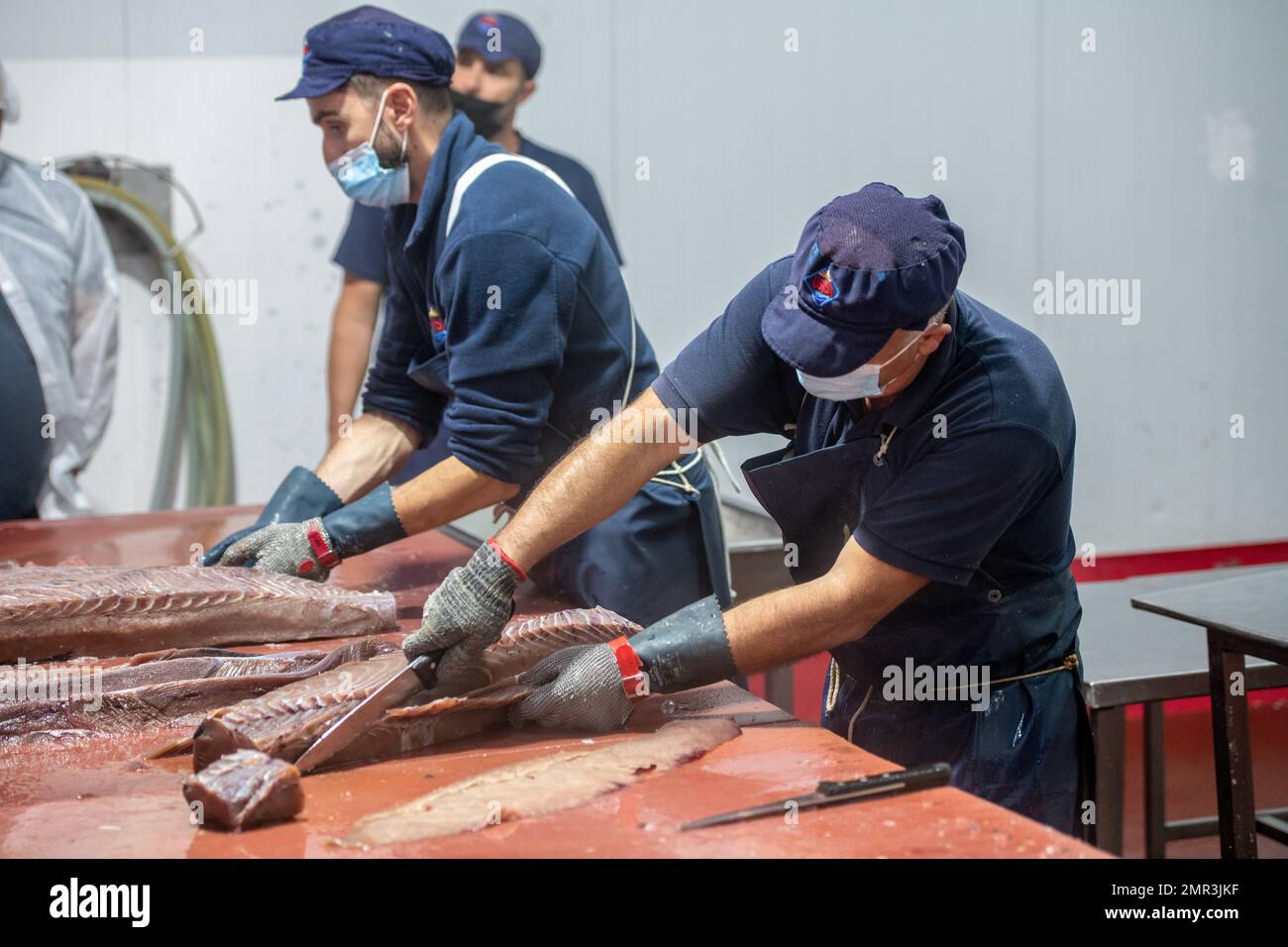 Taglio e preparazione del pesce per il processo di inscatolamento, fabbrica di inscatolamento del pesce (USISA), Isla Cristina, Spagna Foto Stock