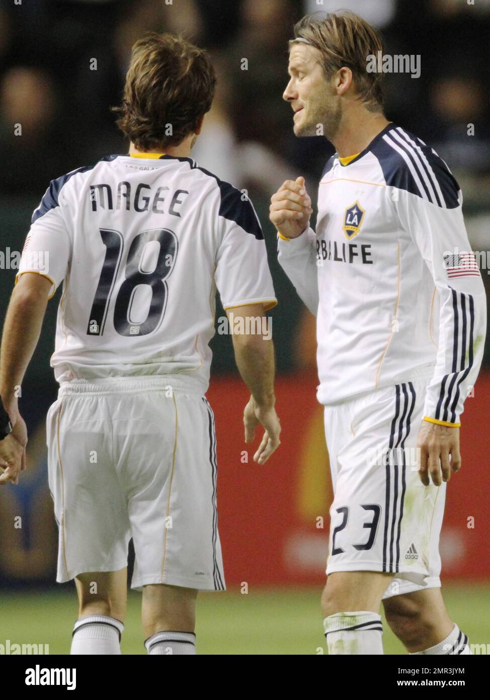 David Beckham e il suo L.A. Il team Galaxy ha sconfitto i New York Red Bulls, 2-1 anni, in un Home Depot Center esaurito, spazzando via la serie di playoff a due gambe e avanzando alla finale della Western Conference di domenica contro il team di Real Salt Lake. Beckham ha giocato un gioco attivo e ispirato ma si è scontrato con Dane Richards di New York che si è presentato per un titolo verso la fine della metà e apparso un po' disorientato prima di essere aiutato fuori dal campo. Dopo aver ricevuto alcune cure mediche, Beckham ha corso di nuovo in azione e dopo pochi minuti ha contribuito a impostare il primo obiettivo della Galassia dando a Magee l'opportunità di guidare duro oltre la g Foto Stock